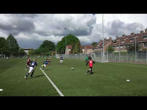 Bavos Jo11  Mierlo hout