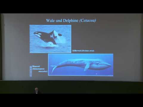 Studium Generale – Die Eroberung der Kontinente durch das Leben