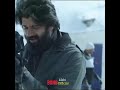 Dear Comrade Dialogue