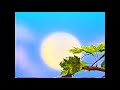 Barney Mister Sun