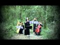 Hexperos acoustic quartet - Live in the wood.mov ...