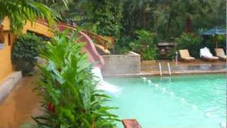 preview picture of video 'The main swimming pool and swim up bar at Tabacon Hot Springs Resort in Costa Rica'