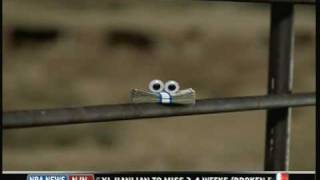 New Gieco Commercial - Money With Eyes 2