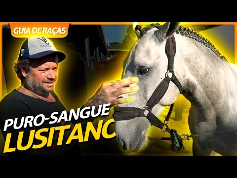 , title : 'PURO SANGUE LUSITANO, UM CAVALO QUE NASCEU PARA SER MONTADO! | RICHARD RASMUSSEN'