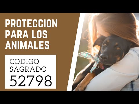 🙏 Sacred Code 52798 to Protect Animals 🙌