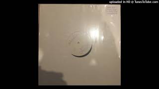 the infinite wheel - java dub (1994)