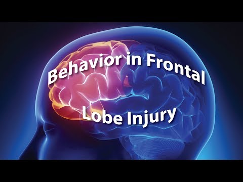 Behavior in Frontal Lobe Injury