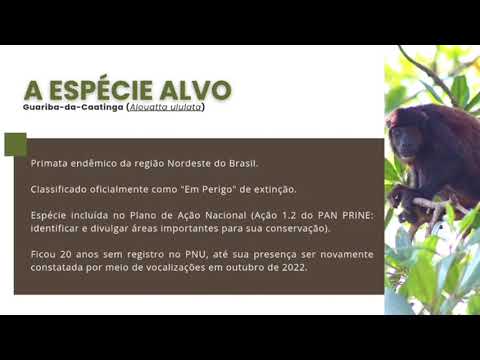 XVII SPIC/ICMBio – Censo populacional de guariba-da-Caatinga usando drone termal no Parna Ubajara-CE