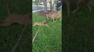 Download lagu December 21, 2021(5) mp3