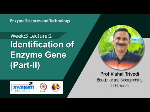 Enzyme Sciences and Technology Intro Video