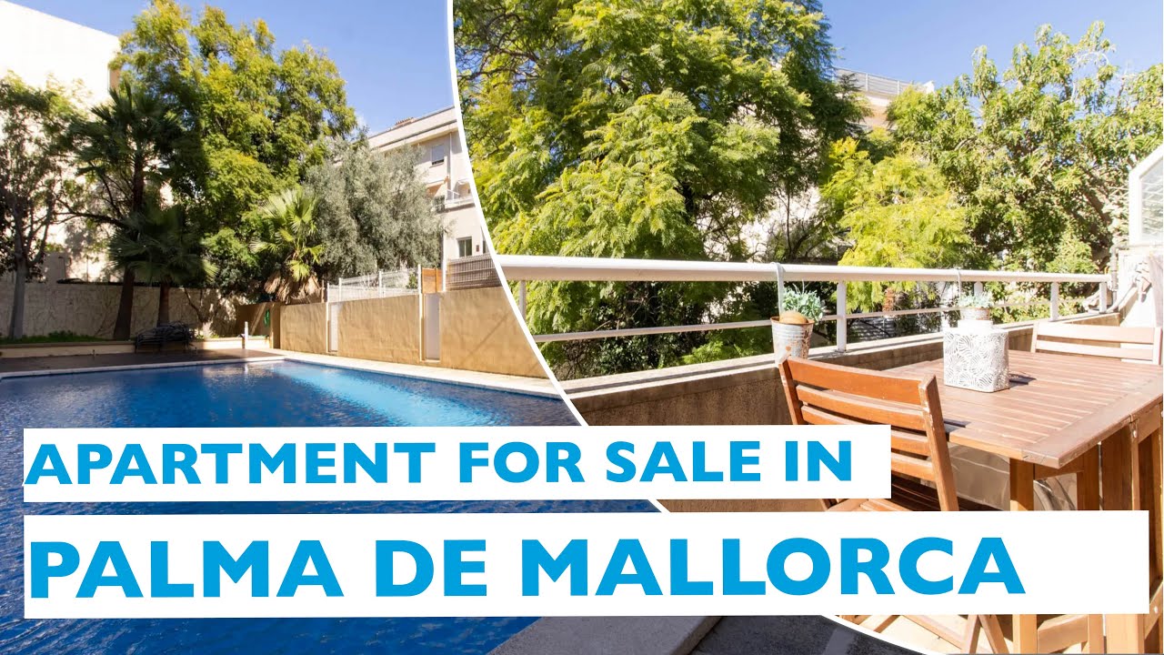 Cozy apartment with terrace and community pool in El Terreno