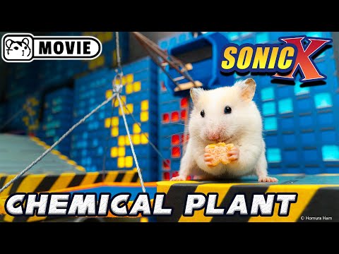 Hamster Sonic vs Eggman ep.3 - Chemical Plant zone 🐹 Boss fight 🐹 Homura Ham