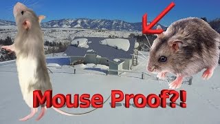 Mouse Proofing Jerry's Cabin - VICTORY!!!