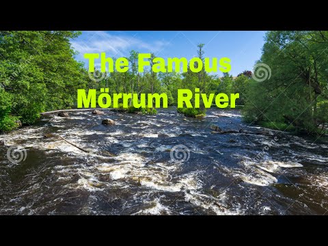 The Famous Mörrum River(Famous for Fishing Salmon(Lax)