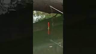 Download lagu Ketrikan the baboon Hole!!️ Fishing Hole tilapia fish #fishing #fishingholetila mp3 Download lagu Ketrikan the baboon Hole!!️ Fishing Hole tilapia fish #fishing #fishingholetila mp3