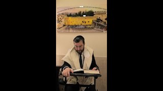 מניין ארורין | איך זכה החפץ חיים שספריו יתקבלו באהדה בכל גזרות הציבור?