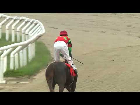 220325 c03  - HABANAISE - HIPODROMO LAS PIEDRAS