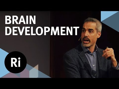 How the Wiring of Our Brains Shapes Who We Are - with Kevin Mitchell