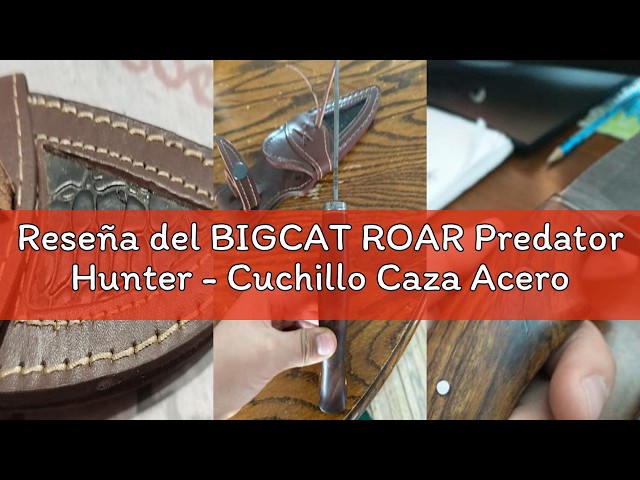 Vídeo relacionado con BIGCAT ROAR Patriot - Cuchillo Caza Grande Acero Damasco 35,6 cm - Mango Madera Nogal y Funda Cuero - EDC Artesanal Bushcraft, Monte, Campo y Supervivencia - Regalo Cazadores Coleccionistas