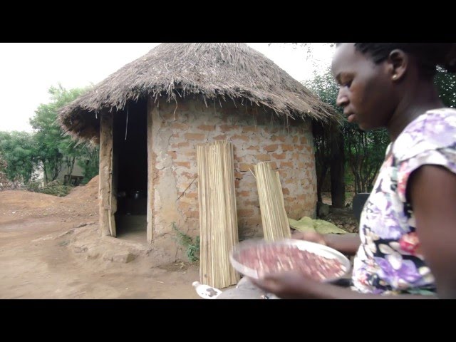 appropriate energy saving technology