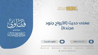 صورة معنى حديث (الأرواح جنود مجندة) - الشيخ عبدالرحمن البراك (12625)