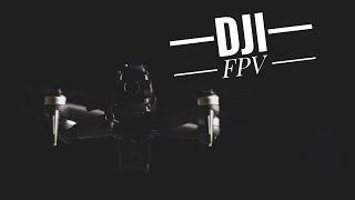 DJI FPV - Motion Controller Freeflight