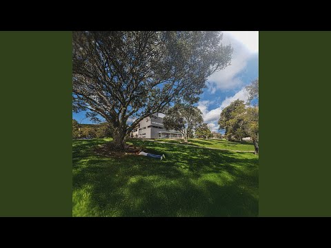 LONG BAY (feat. Jama)