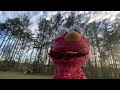 Elmo World Pirate Intro