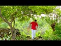 Food Forest Of India In 2023 Cooking Best Vegetarian Dinner In The World