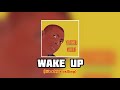 Youssou N'dour - WAKE UP (It's Africa Calling) | Album Rokku Mi Rokka