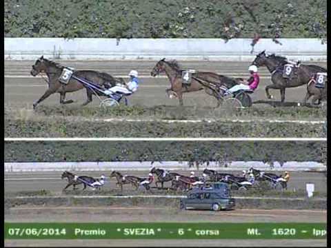 6° CORSA  del  7 GIUGNO 2014