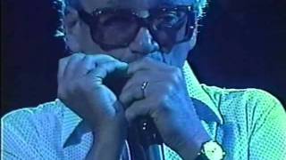 Sophisticated lady duo.