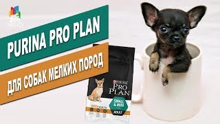 Pro Plan Adult Small & Mini с курицей 7 кг (7613035123458) - відео 1
