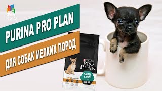 Pro Plan Adult Small & Mini с курицей - відео 1