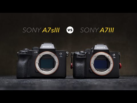 Sony a7s iii vs a7iii Video Performance