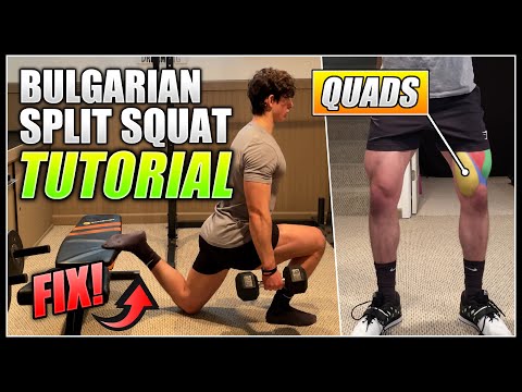 How to do the BULGARIAN SPLIT SQUAT! | 2 Minute Tutorial