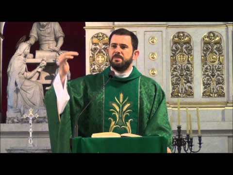 Homilia Ks. Carlosa 7.07.2013 - XIV NIEDZIELA ZWYKŁA C