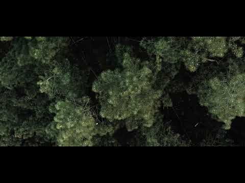 Toate Le-ai creat  - Andrei Ciurdas & Ovi Opris