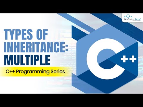 What is Object Oriented Programming OOPS C Tutorials for Beginners