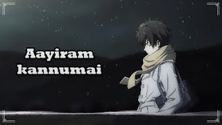 Download lagu Aayiram Kannumai💕 | Malayalam LoFi💫| Vineeth Sreenivasan | Lyric Video mp3 Download lagu Aayiram Kannumai💕 | Malayalam LoFi💫| Vineeth Sreenivasan | Lyric Video mp3