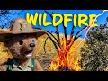 Wildfires Causes Staying Safe Nature Earth Science