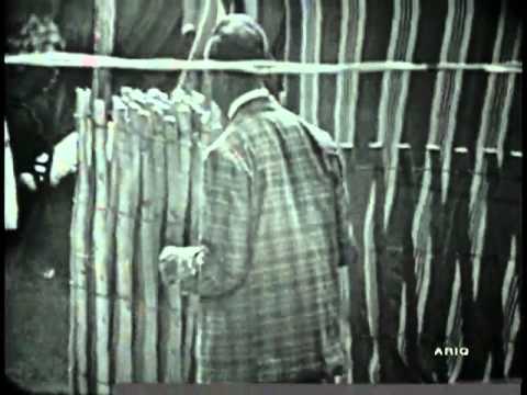 Videoclip de Come Back Baby — John Lee Hooker