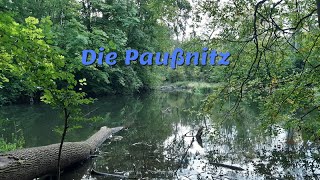 Die Paußnitz