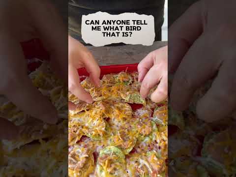 Homemade NACHOS 🤤🤤