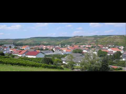 Guldental - BLICK über`s WeinDorf - fotoNoWo