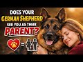 10 Emotional Signs Your German Shepherd Trusts You Like A Parent