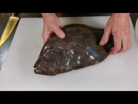 How to clean and fillet a whole flat fish such as halibut, plaice, sole, or halibut
