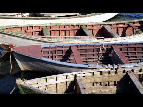 Squeezin' Steve Searle: I Rowed Up In A Dory (Jig)