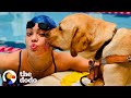 Anastasia Pagonis’ Loyal Guide Dog Sits Next To Swimming Pool During Practice | The Dodo Teammates