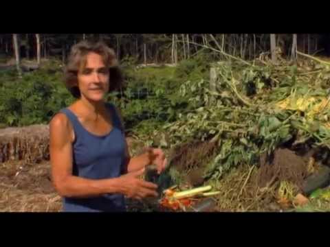 download lagu mp3 mp4 Barbara Damrosch Blog, download lagu Barbara Damrosch Blog gratis, unduh video klip Barbara Damrosch Blog